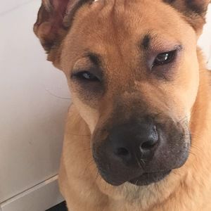 Meet your Posher, Giselle